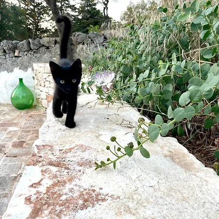 Casalento Frühstückspension